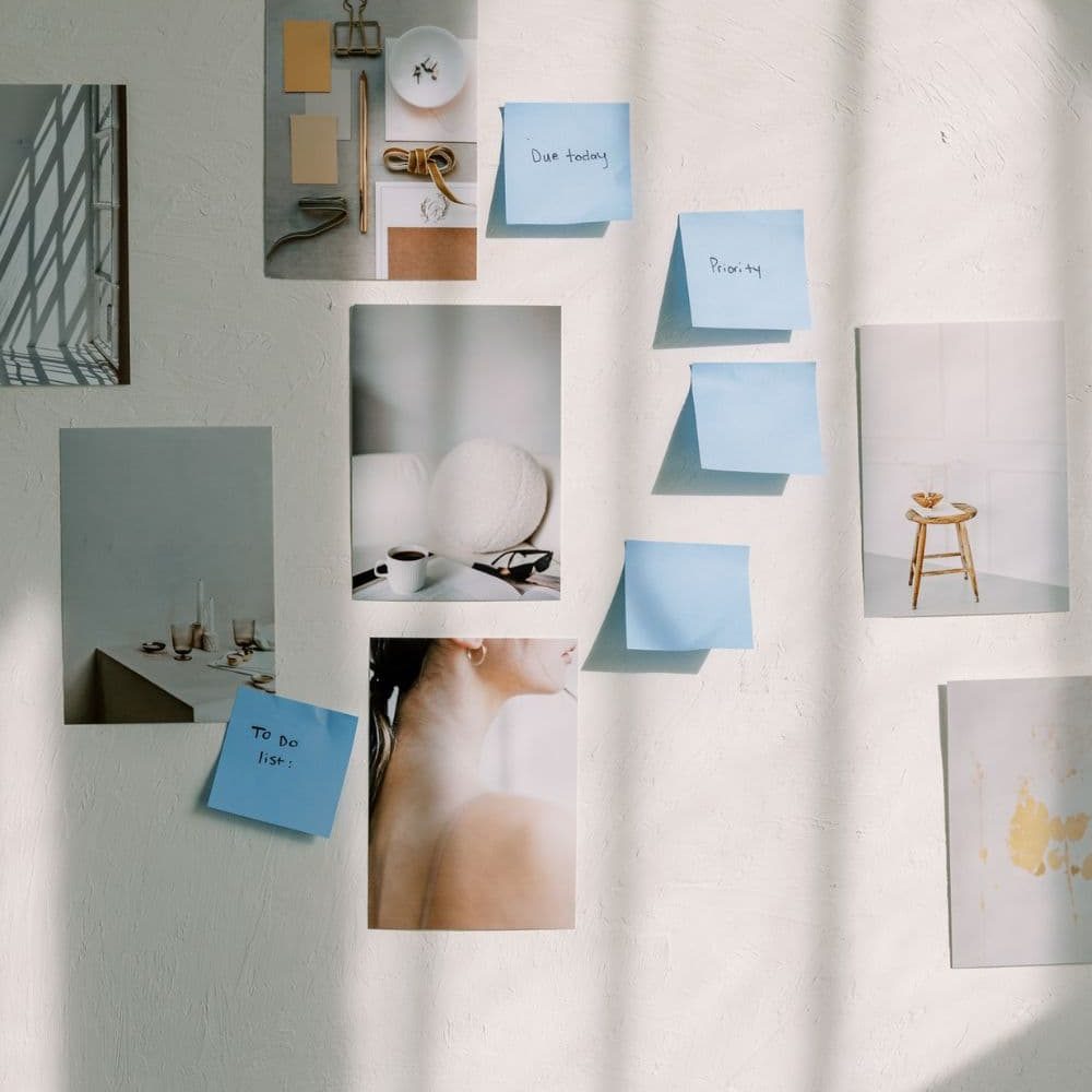 cultivate-img-13.jpg